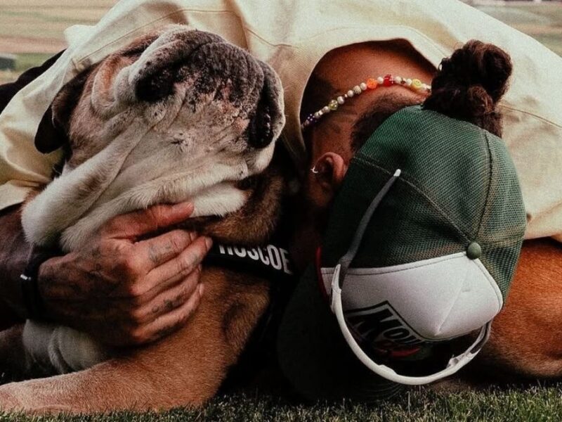 se confirma la muerte de roscoe el perro de lewis hamilton