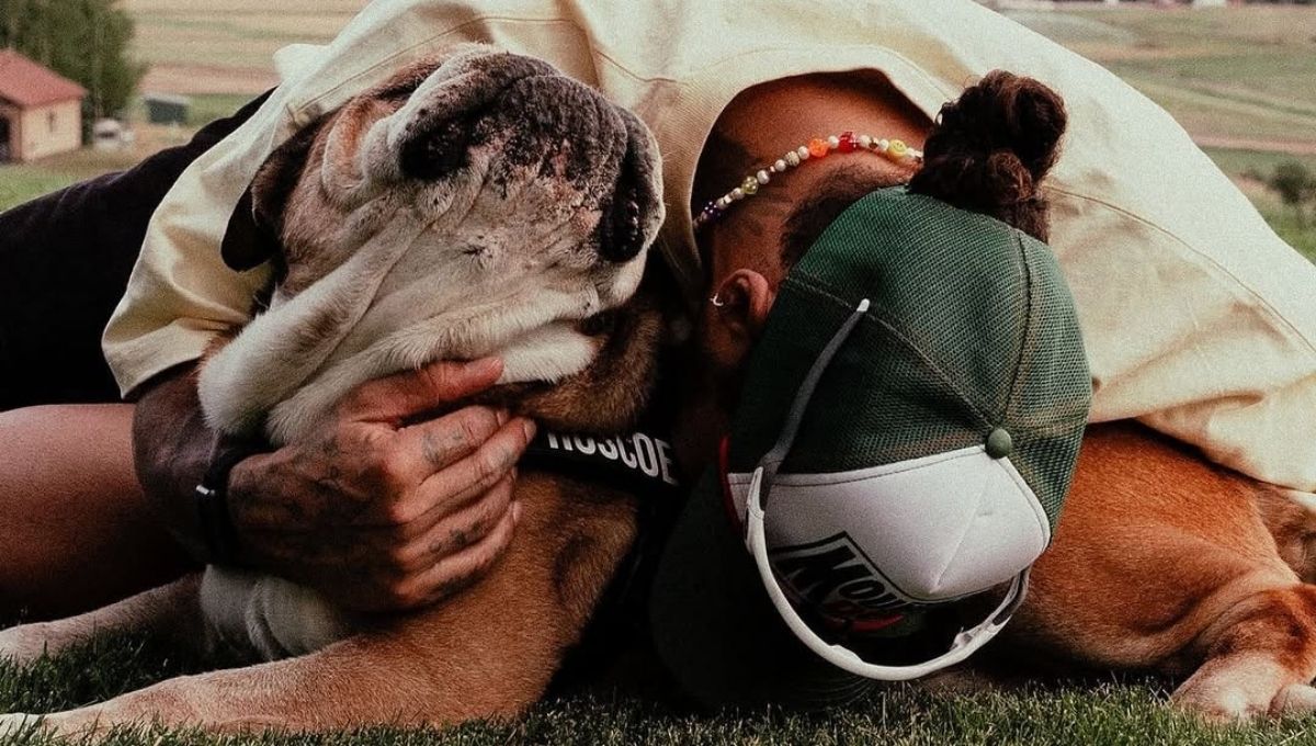 se confirma la muerte de roscoe el perro de lewis hamilton
