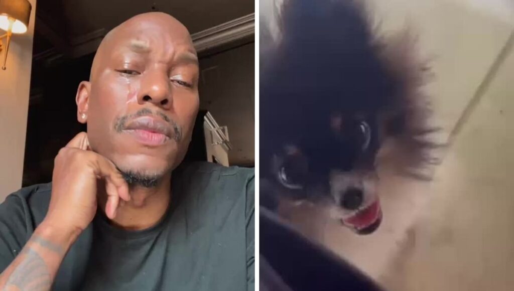 Tyrese Gibson, actor de Rápido y Furioso es buscado por atacar a perrito