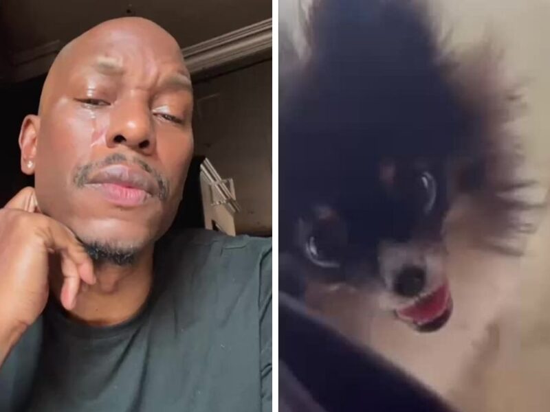 Tyrese Gibson, actor de Rápido y Furioso es buscado por atacar a perrito