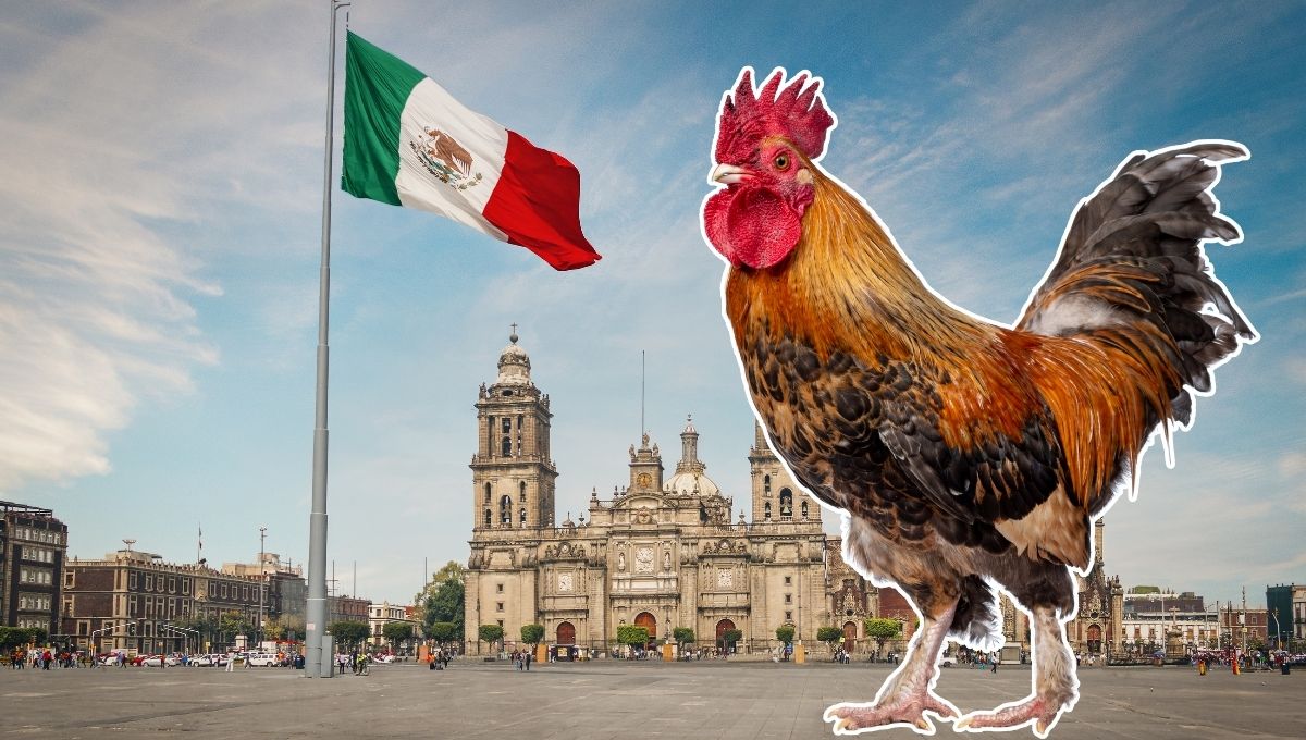 Zona Gallo de CDMX, aseguran es la mejor de la capital