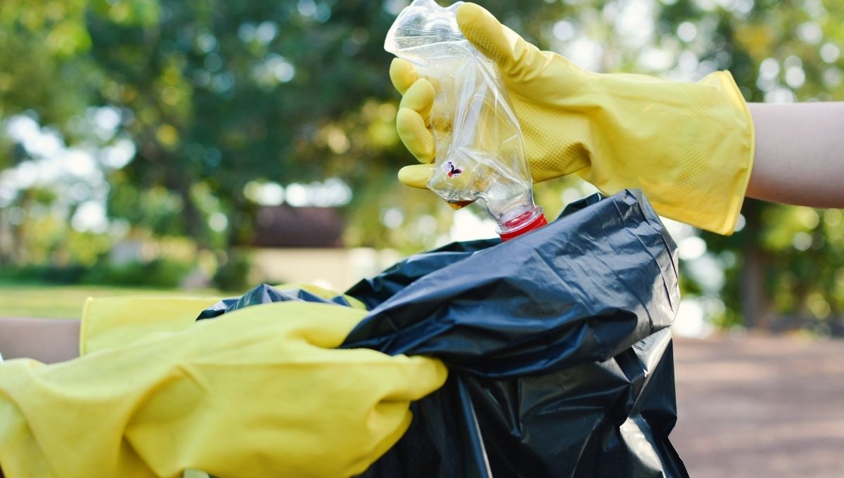 Gobierno CDMX recolectará residuos de basura por fechas