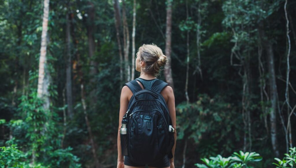 Predicciones del horóscopo de Mhoni Vidente hoy 31 de octubre