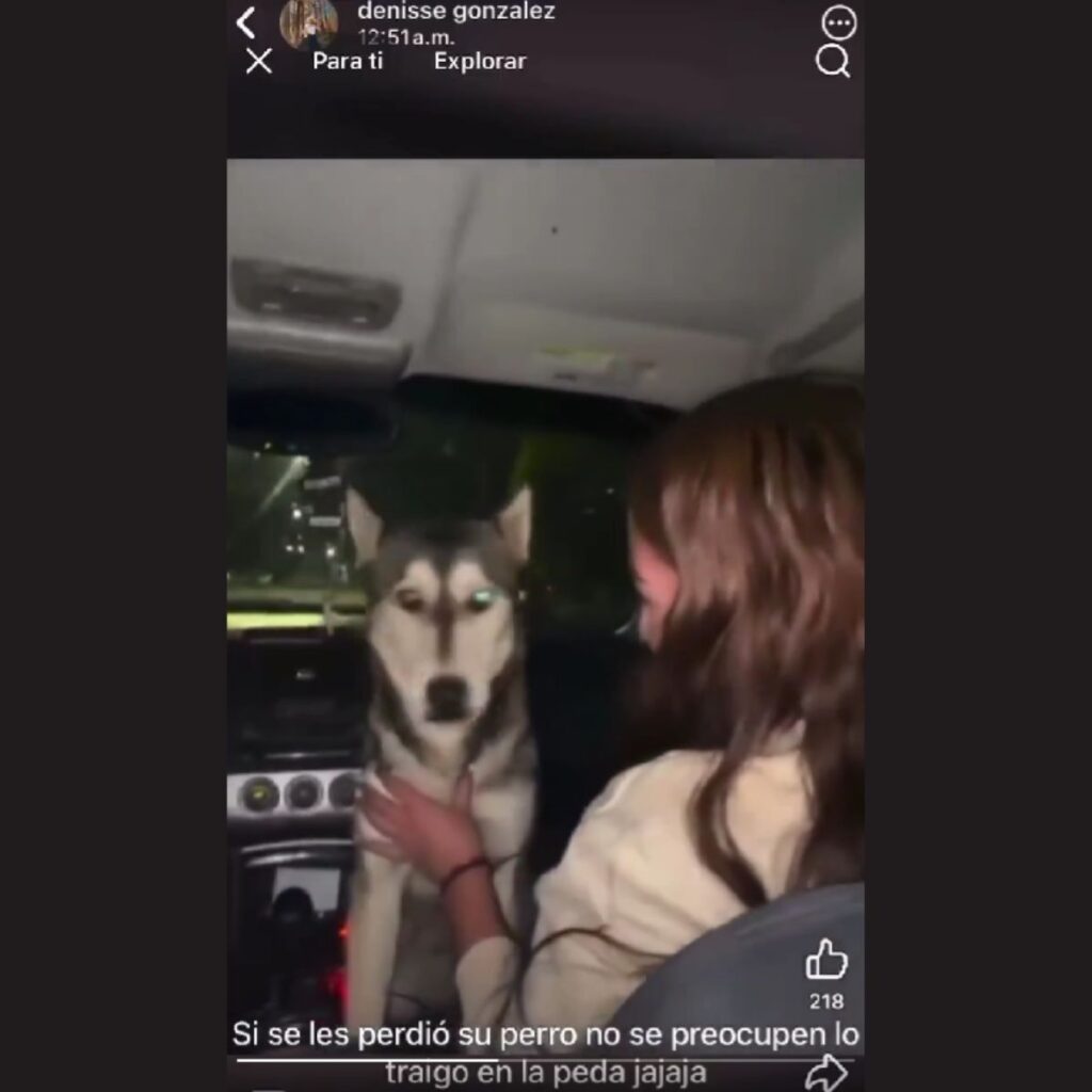 Estudiante de la Universidad de Chihuahua da de beber cerveza a perro de la calle