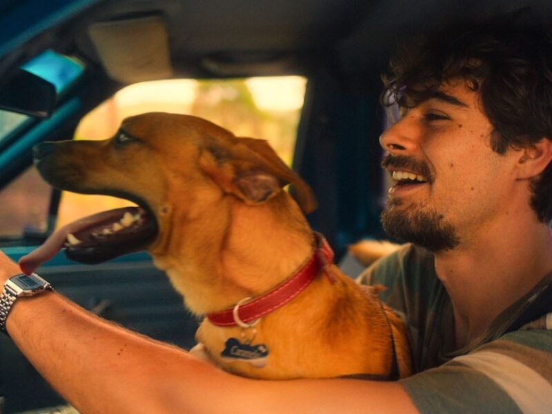 Películas para ver en Netflix