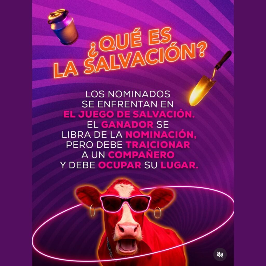 Qué pasa hoy en La Granja VIP en la salvación