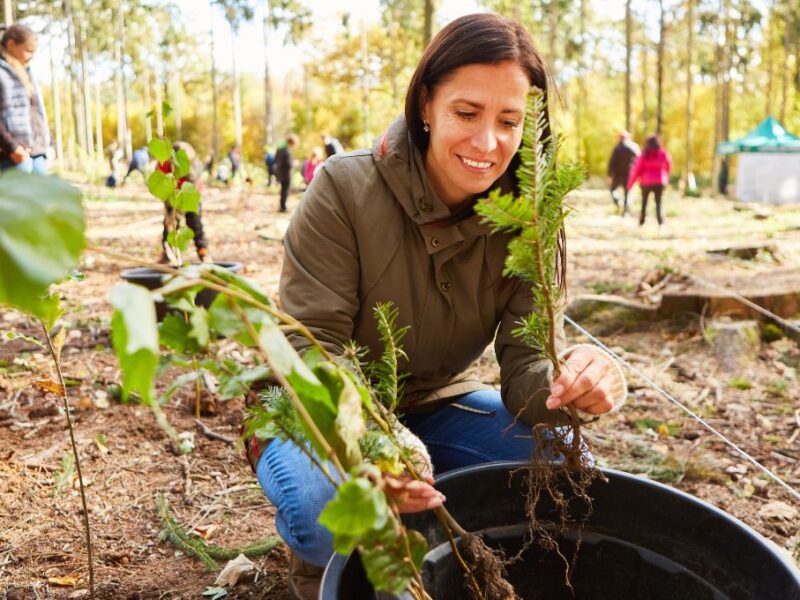Efemérides y santoral del 01 de noviembre