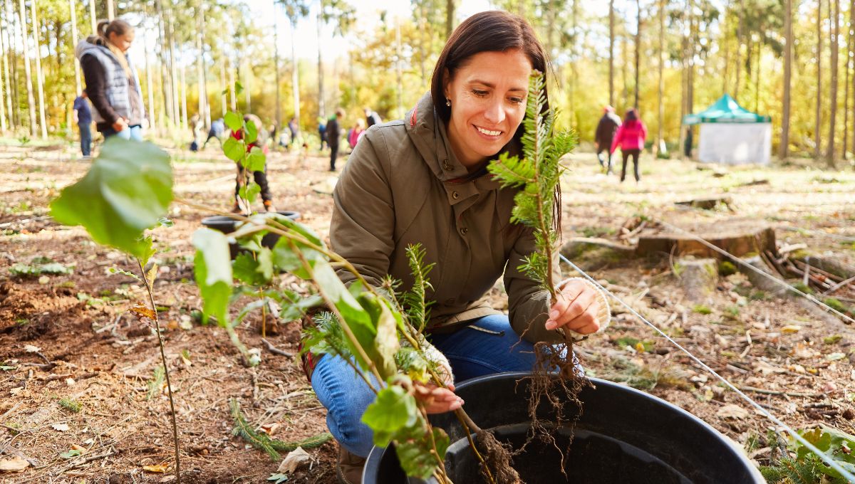 ¿Qué se celebra hoy 01 de noviembre? Efemérides y santoral