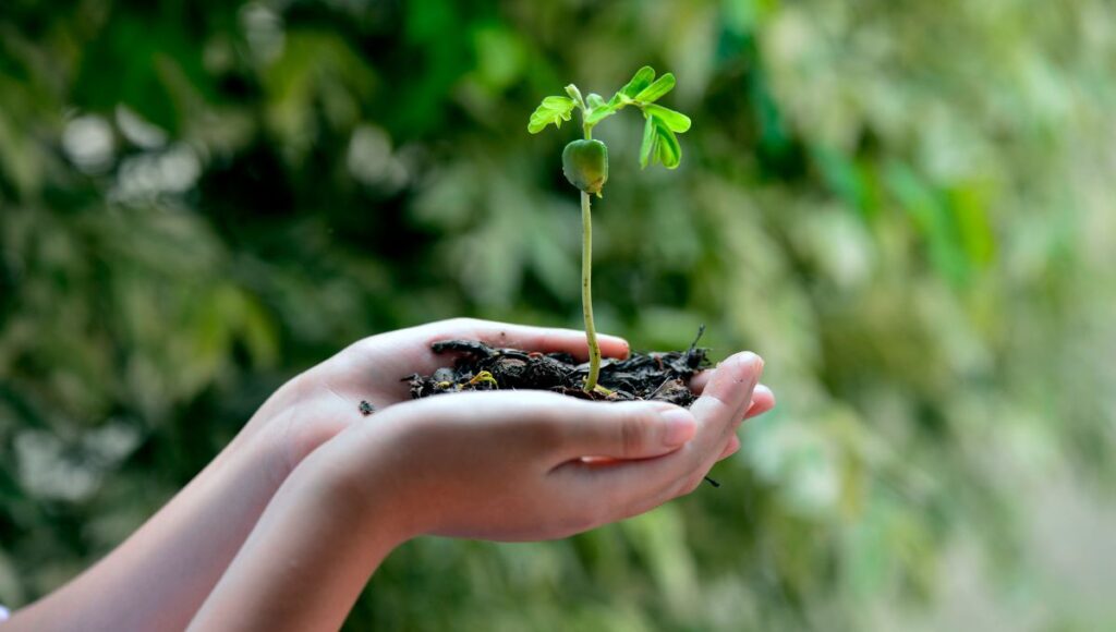 Efemérides y santoral del 01 de noviembre