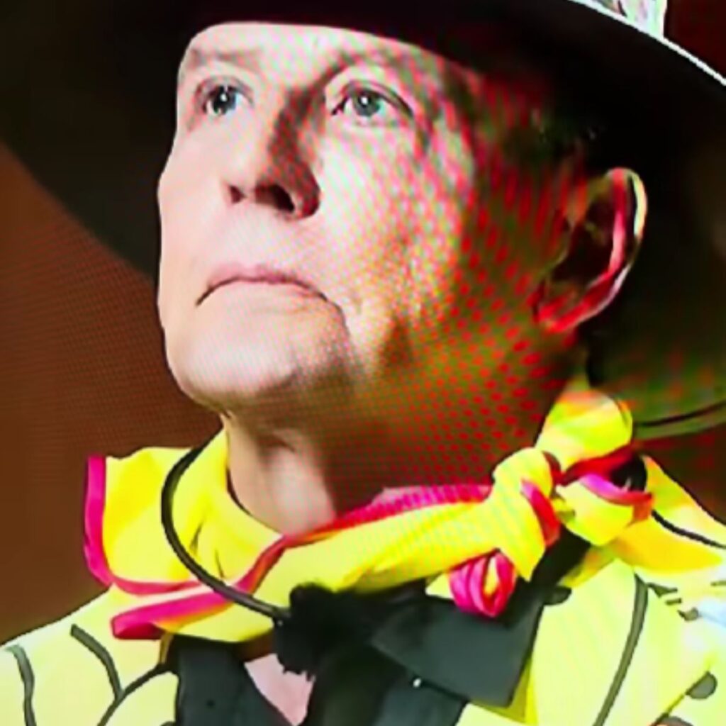 Precio del traje de pollitos de Alfredo Adame en Temu