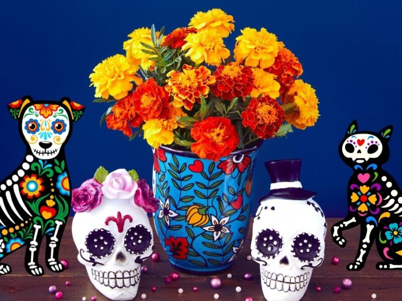Día de Muertos de mascotas 2025