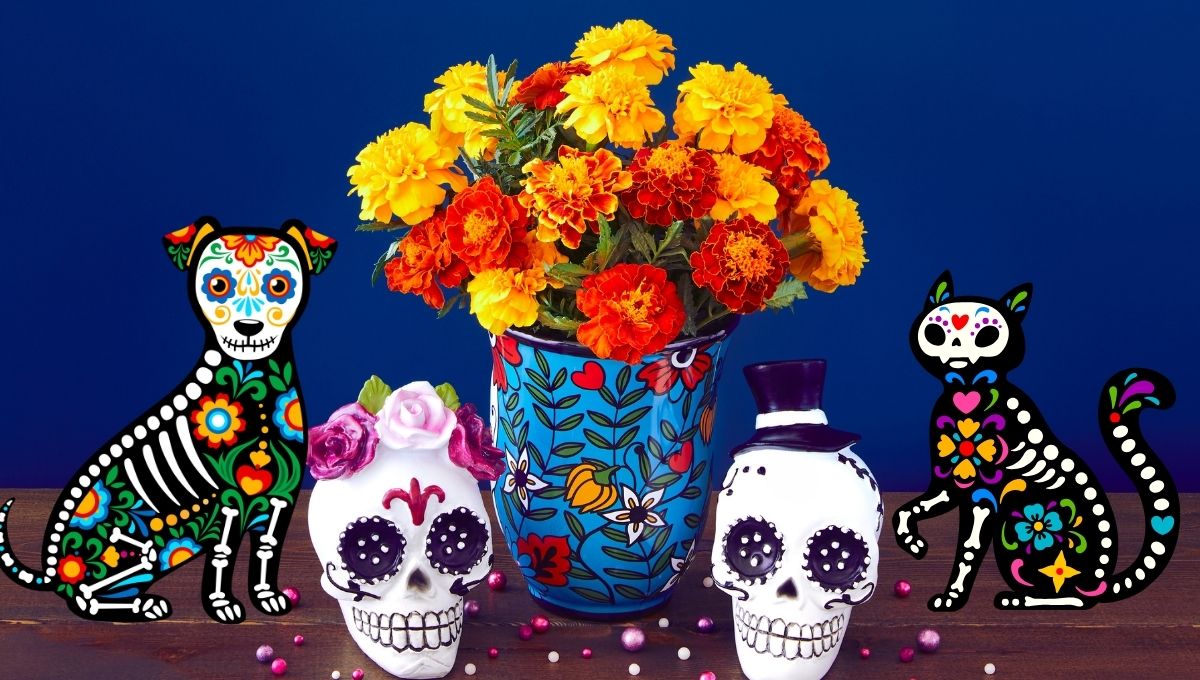 Día de Muertos de mascotas 2025