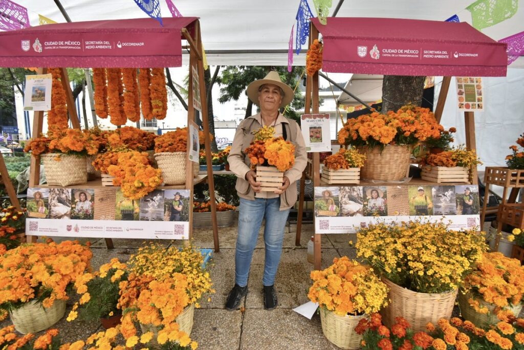 actividades en CDMX hoy jueves 30 de octubre Día de Muertos