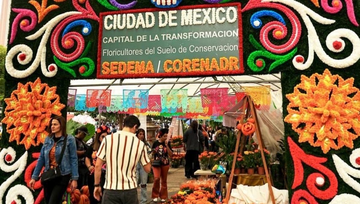 Actividades en CDMX que puedes hacer hoy jueves 30 de octubre