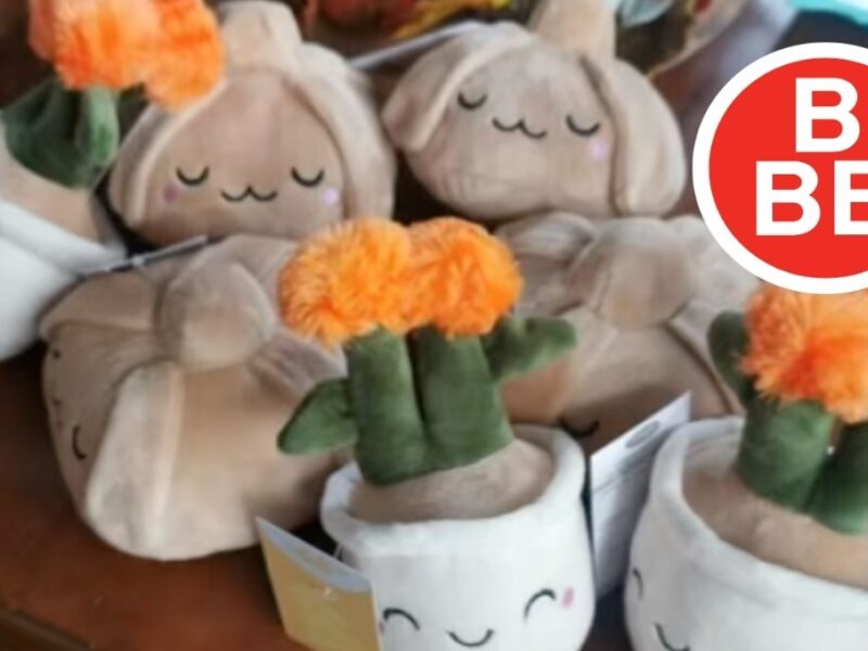 en donde comprar y cuanto cuestan los peluches virales de tiendas 3b
