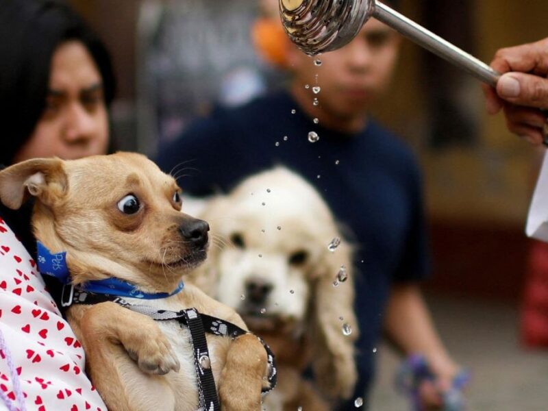 Bendición de mascotas 2025 en la CDMX