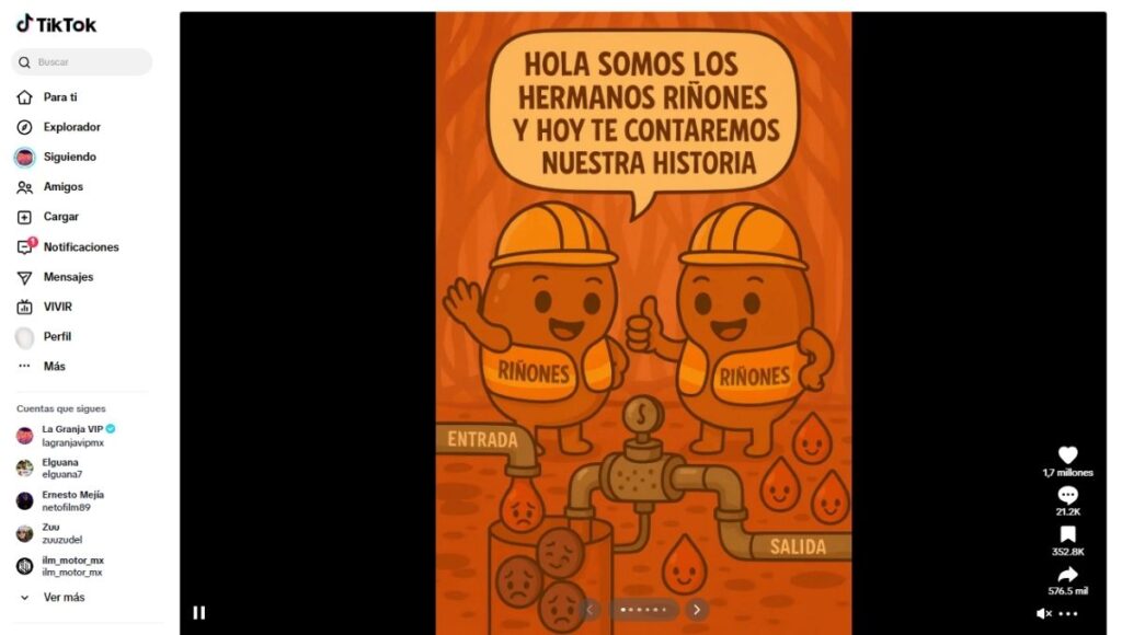 Los hermanos riñones: la historia viral de TikTok