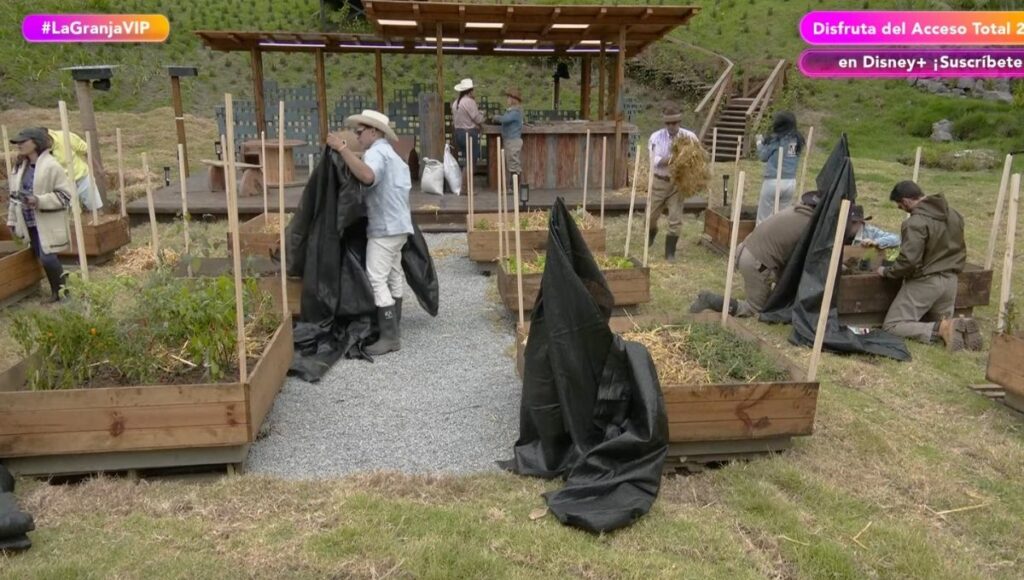 por que no estuvo el tio pepe en la granja vip
