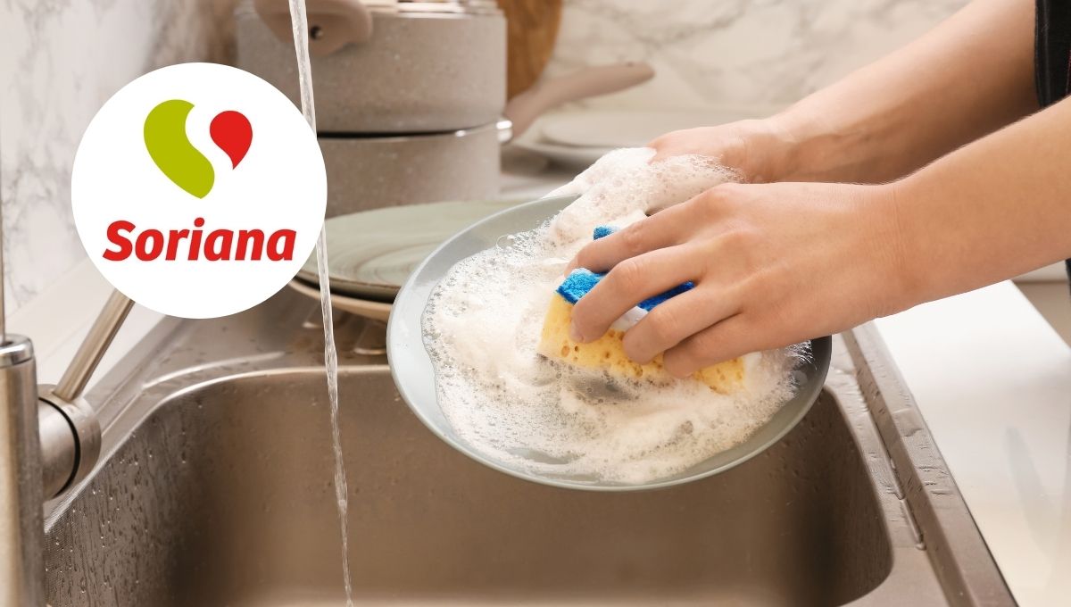 soriana tiene la mejor esponja de cocina en calidad-precio segun estudio de la profeco