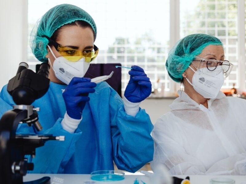 ¿Qué se celebra hoy 10 de noviembre?