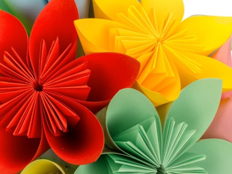 ¿Qué se celebra hoy 11 de noviembre?