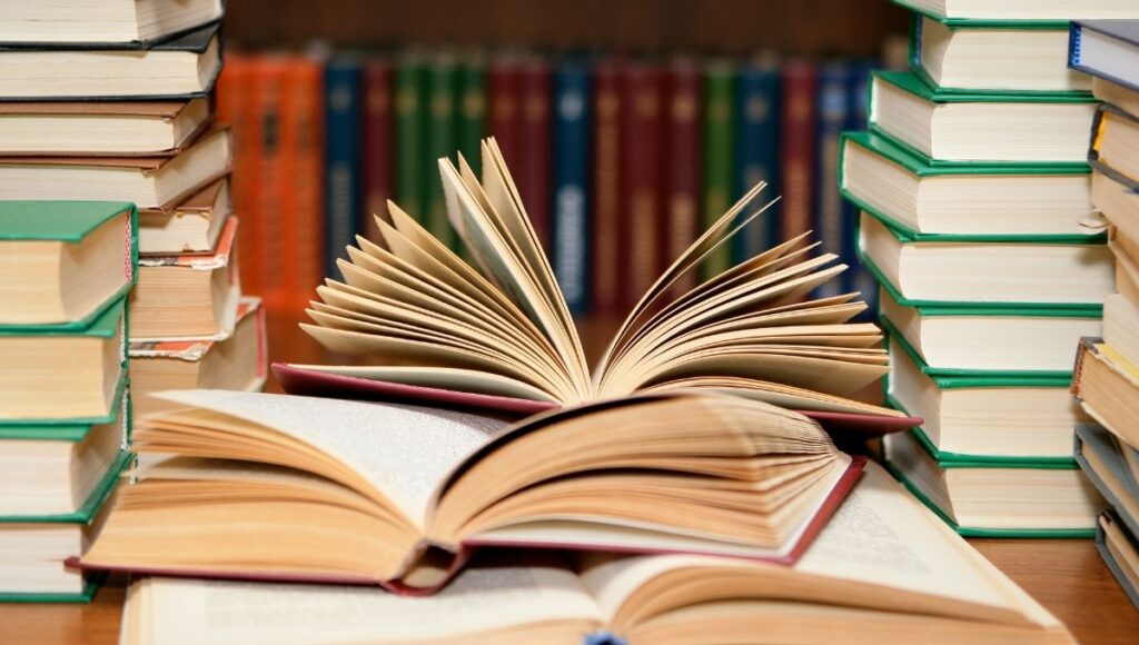 ¿Qué se celebra hoy 12 de noviembre?