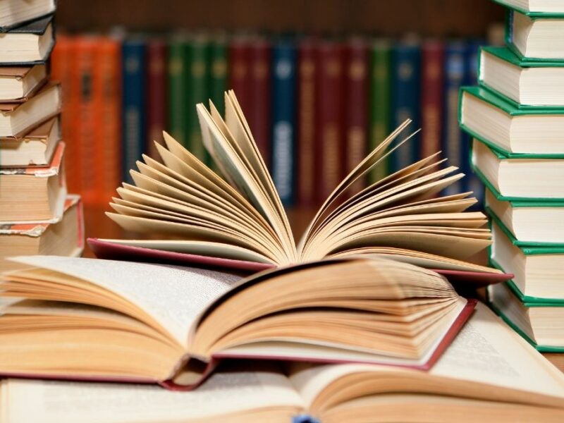 ¿Qué se celebra hoy 12 de noviembre?