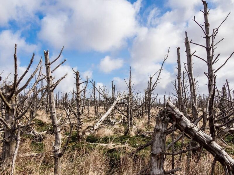 ¿Qué se celebra hoy 6 de noviembre?