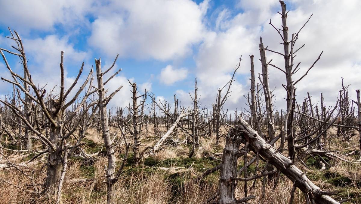 ¿Qué se celebra hoy 6 de noviembre?
