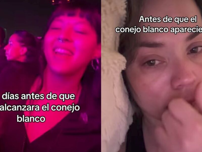 Significado del trend de El conejo blanco me alcanzó en TikTok