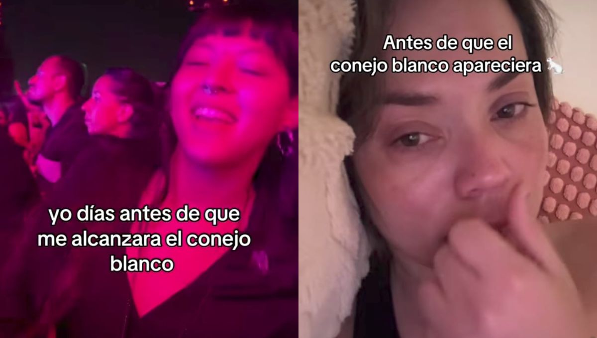 Significado del trend de El conejo blanco me alcanzó en TikTok