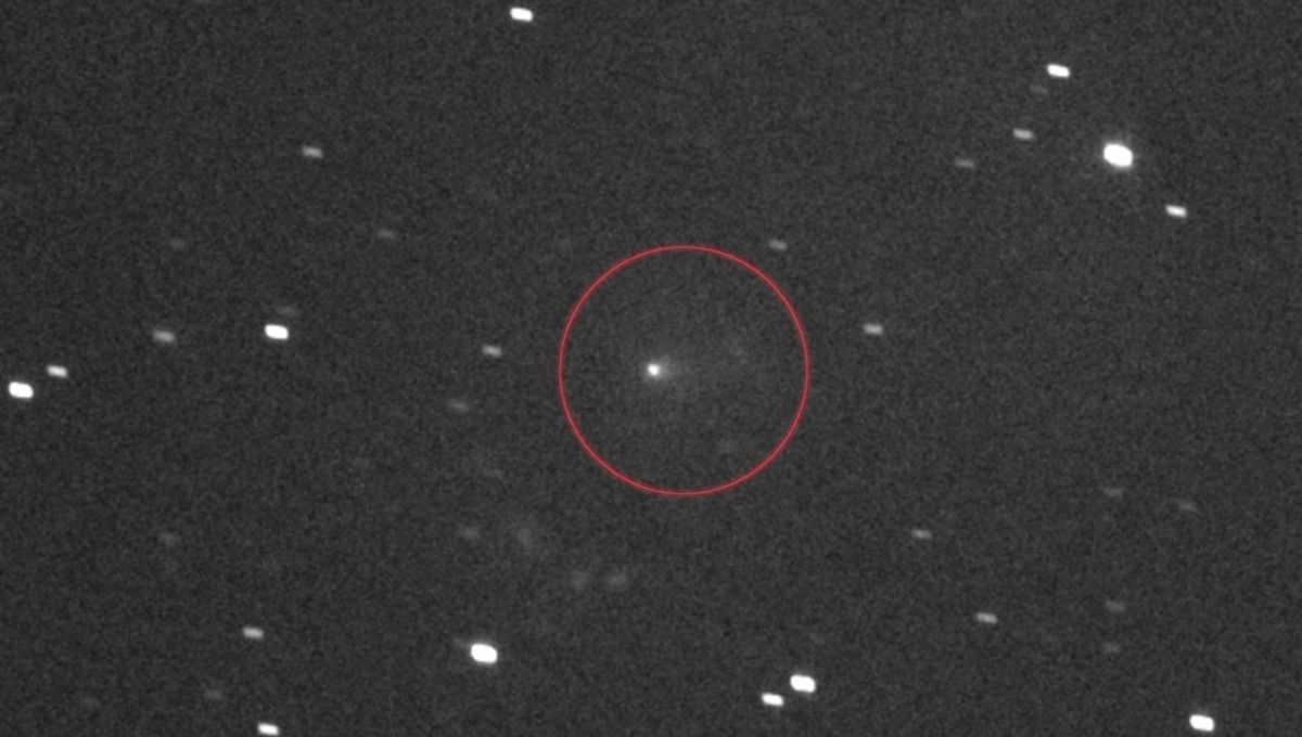Cometa 3I/Atlas en vivo cómo ver desde NASA 19 noviembre