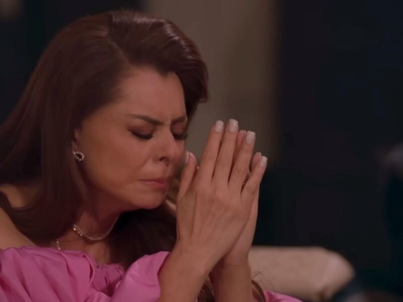 Los Hilos del Pasado capítulo 7 completo