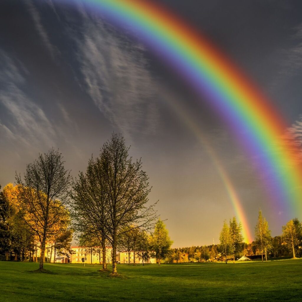 nana calistar horoscopo del 8 de noviembre