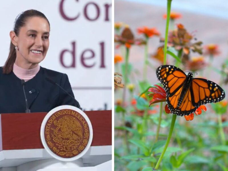 Noticias del miércoles 5 de noviembre en México