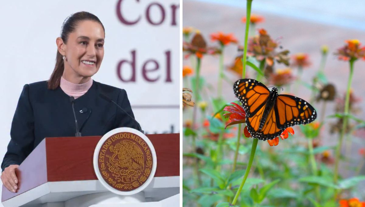 Noticias del miércoles 5 de noviembre en México