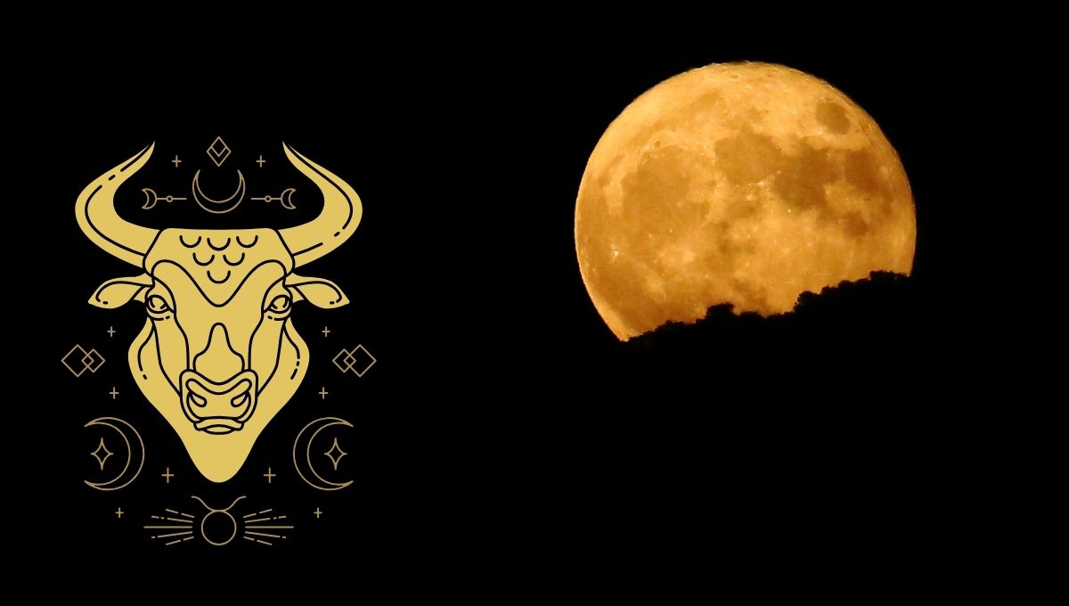 Aprovecha la Superluna en Tauro de noviembre 2025
