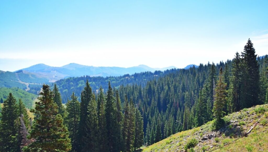 efemérides y santos de hoy 10 de diciembre