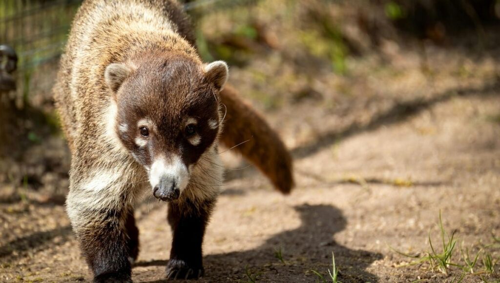 Qué se celebra hoy 3 de diciembre