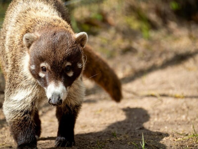 Qué se celebra hoy 3 de diciembre
