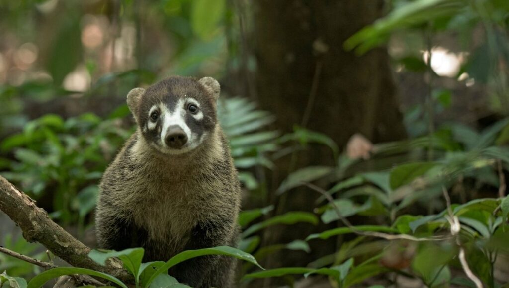 efemérides importantes de hoy 3 de diciembre