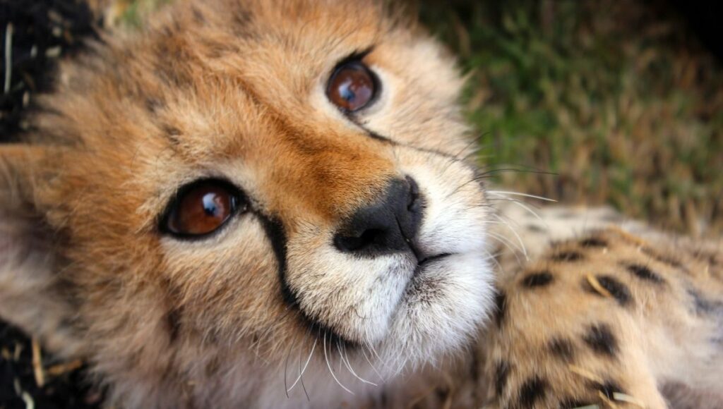 efemérides de hoy 4 de diciembre