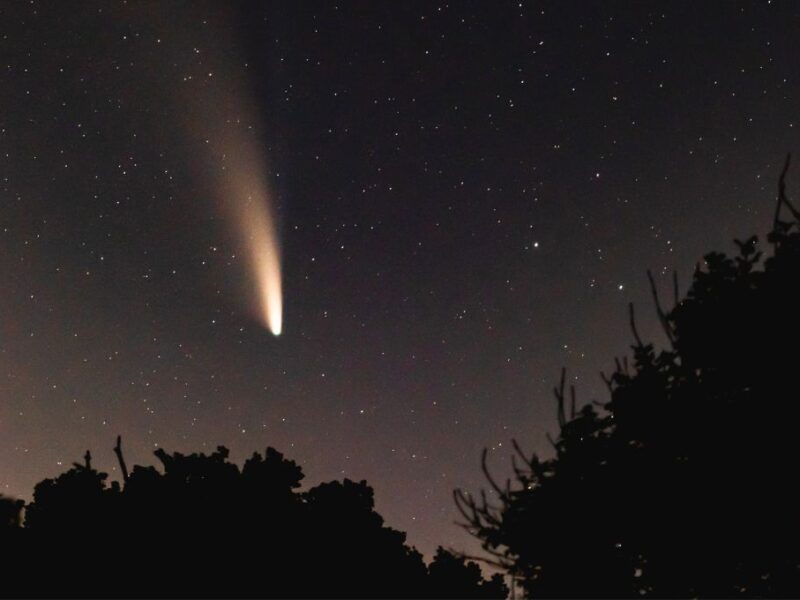 Dónde está el Cometa 3I/ATLAS hoy 20 de diciembre 2025