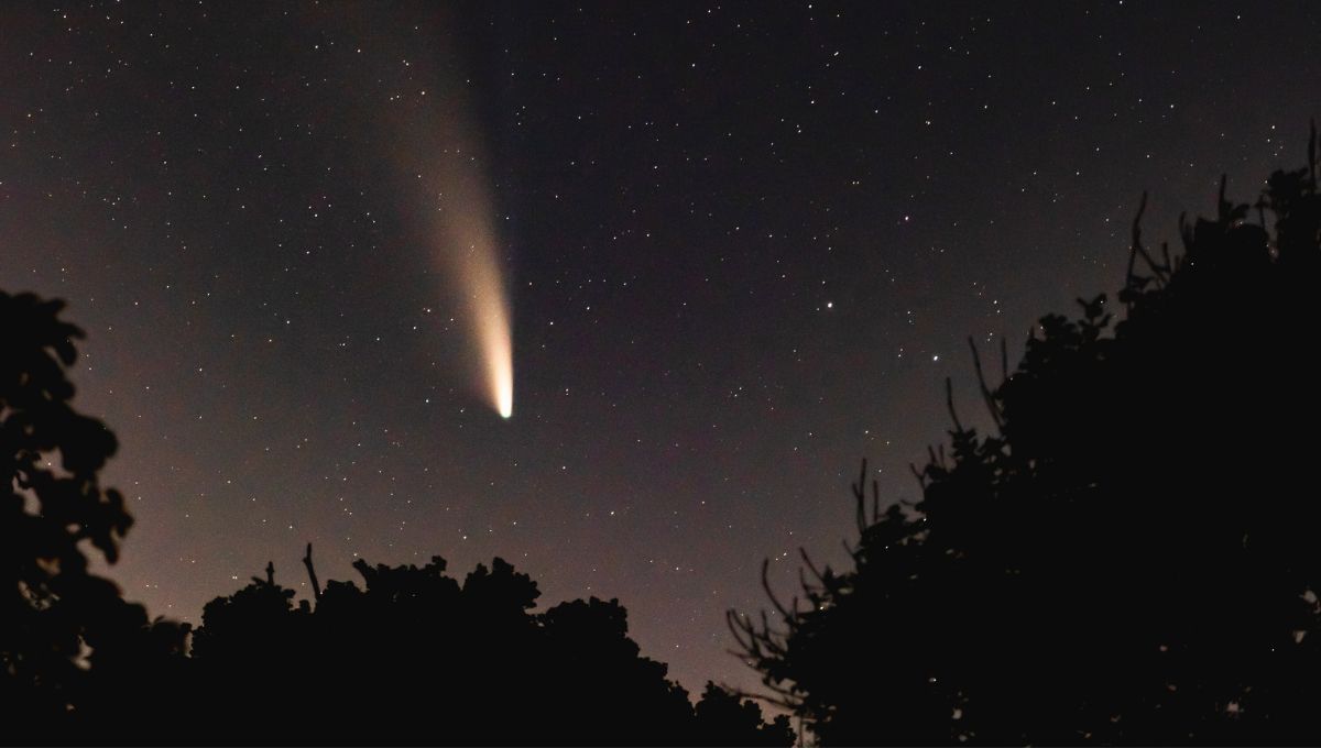 Dónde está el Cometa 3I/ATLAS hoy 20 de diciembre 2025
