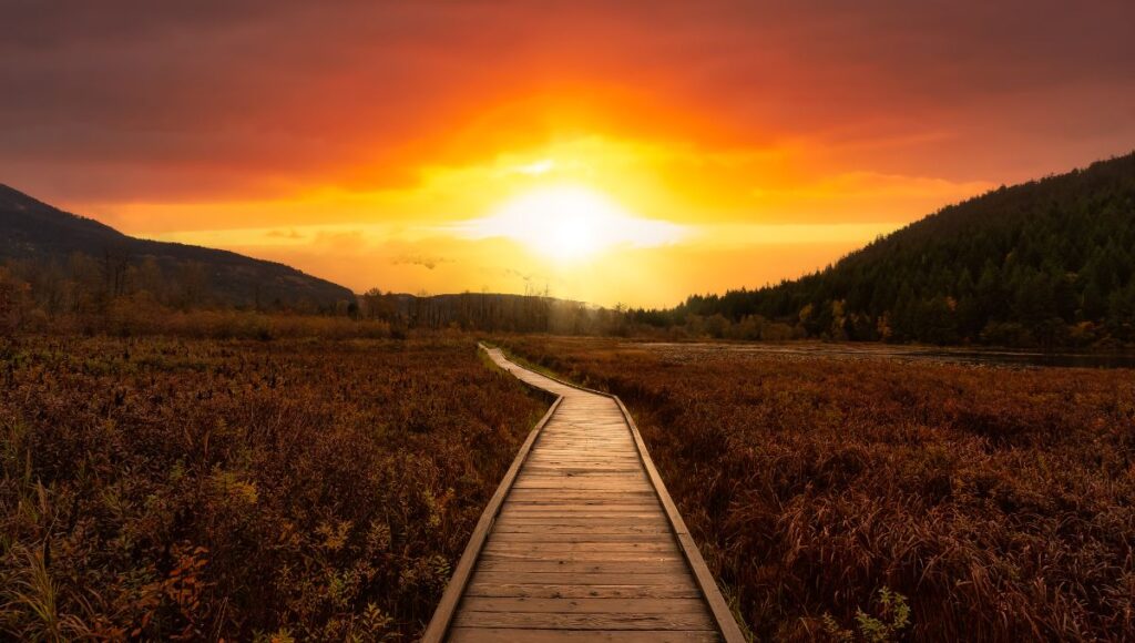 Predicciones del horóscopo de Walter Mercado hoy 10 de diciembre 2025