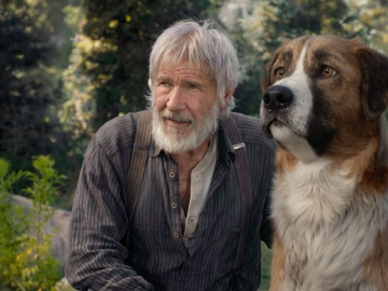 La raza de perro de Buck de El llamado salvaje