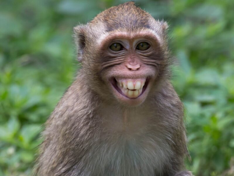 Qué se celebra hoy 14 de diciembre