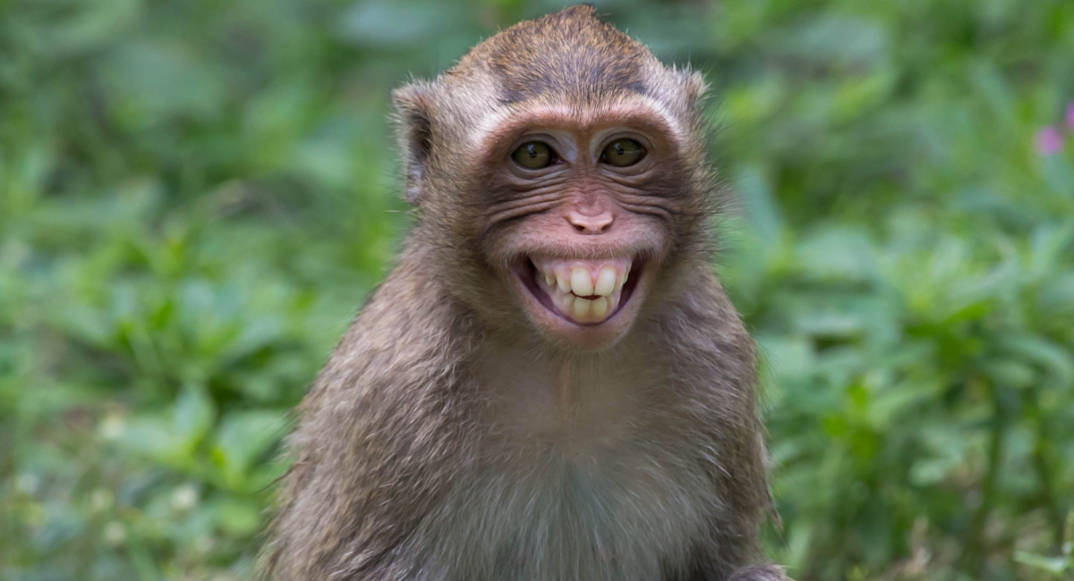 Qué se celebra hoy 14 de diciembre