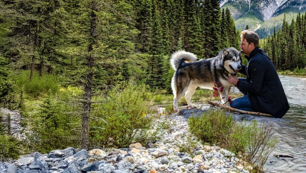Sinopsis y reparto de Sobreviviendo el camino a casa película Netflix