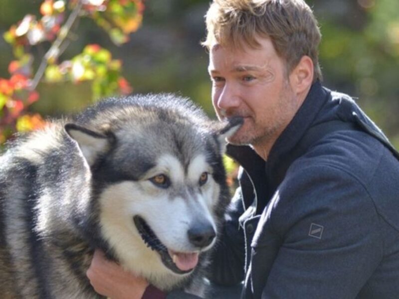 Sinopsis y reparto de Sobreviviendo el camino a casa película Netflix